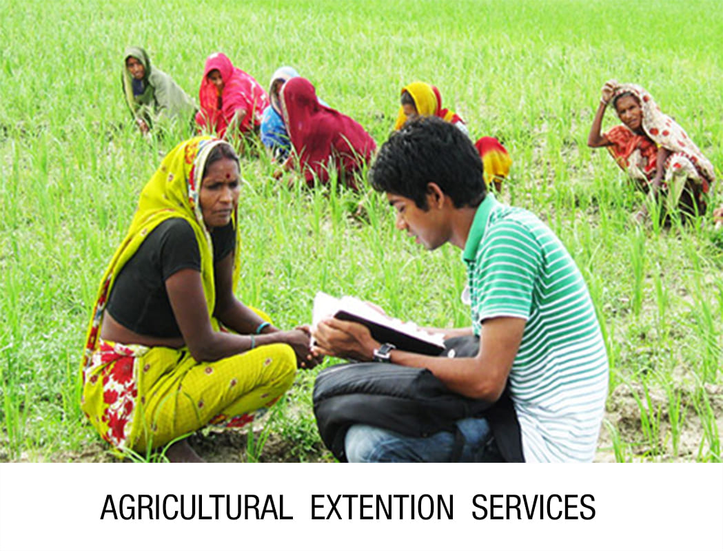 Field officer discussing crop practices with local farmers