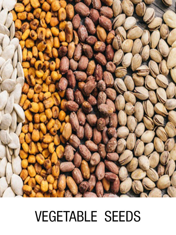 Assorted vegetable and grain seeds